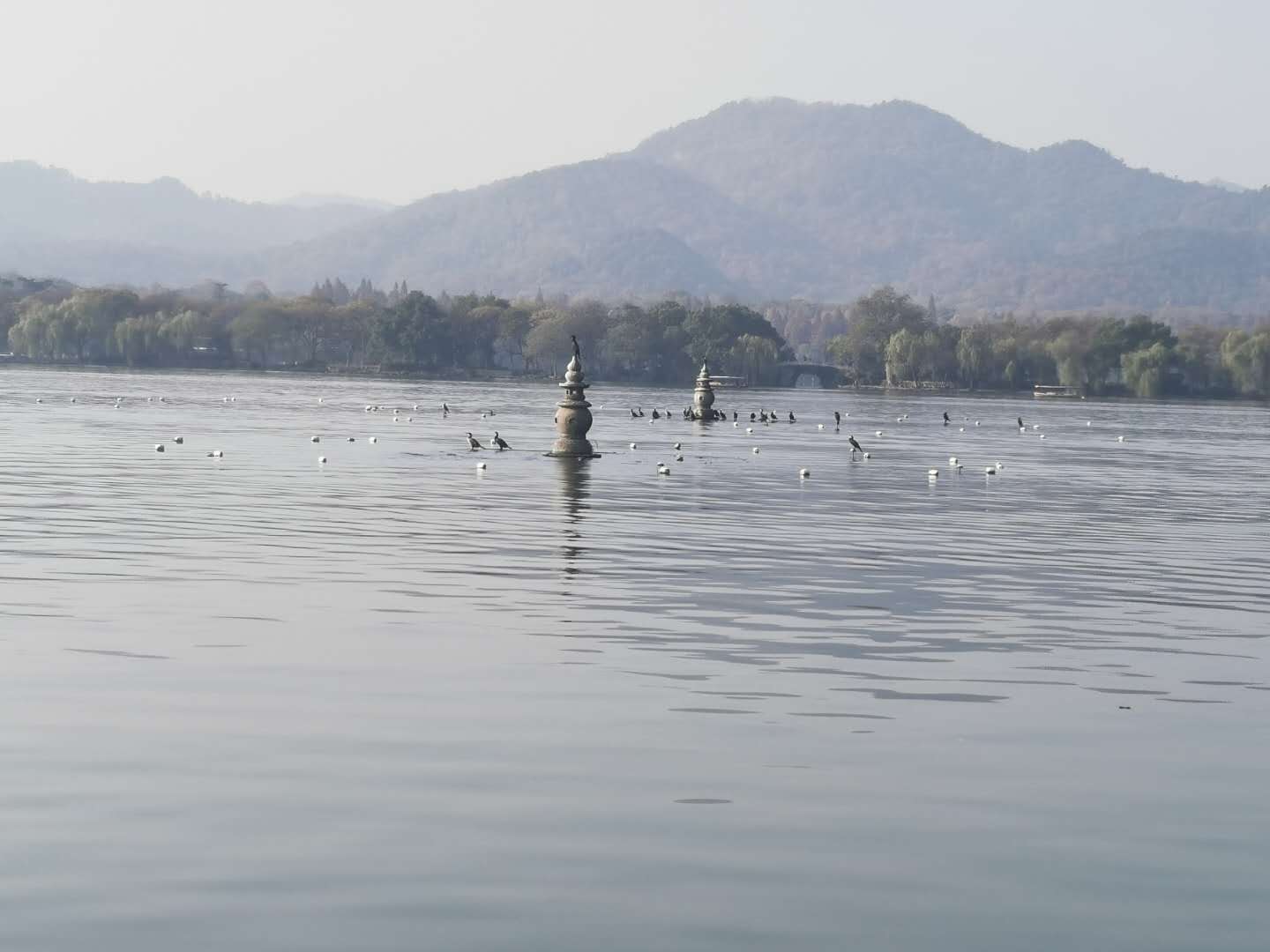 杭州 秋 2019